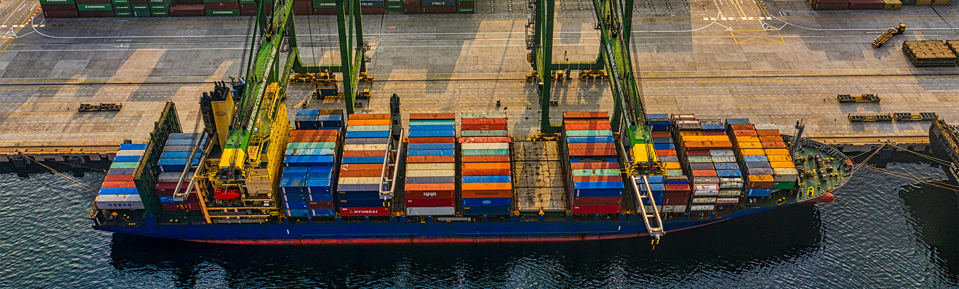 Oasis P I Services Ltd 